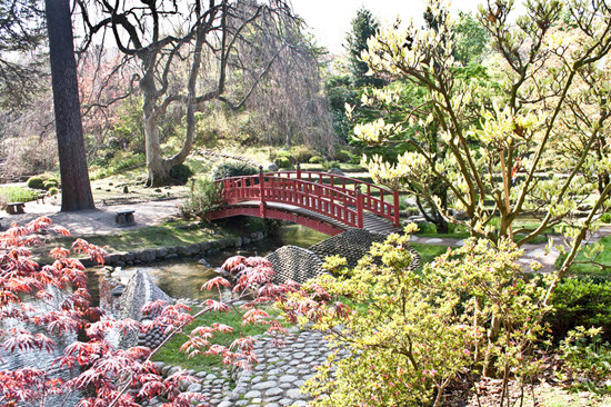 jardin japonais paris