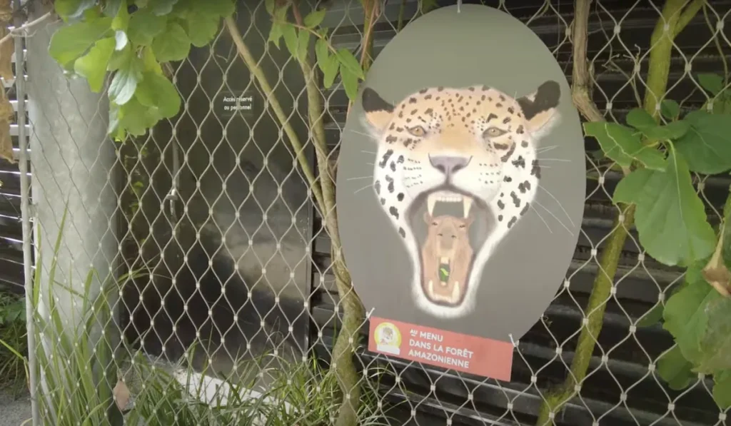 Zoo de vincennes à Paris